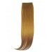 Wigs2you 接髪片 高溫絲 Tipped 效果 駁髪 氣質OL型W-905 