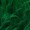 Green Spike Wig