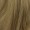 Troy Wig