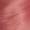Dolly Pigtail Wig - Coral