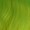 Batman Female Joker Wig - Neon Green