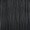 Swamp Queen Adult Wig - Black