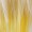 Evil Bride Adult Women Wig