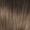 Brown Braid Wig