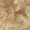 Ladies Blonde Afro Wig