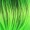 Hard Rockin Black Green Wig