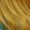 Ezreal League of Legends Cosplay Gold & Blue Wig