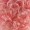 Colonial Lady with Blue Lece Wig Pink