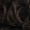 William Shakespeare Brown Wig with Full Beard Set