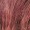 The Nutcracker and the Four Realms Harlequin Colonial Wig