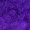 Half Bald Funny Men Dark Purple Wig