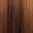 Incredibles 2 - Invisigirl Violet Parr Brown Wig with Mask Set