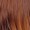 Golden Blonde/Lush Brown Tips